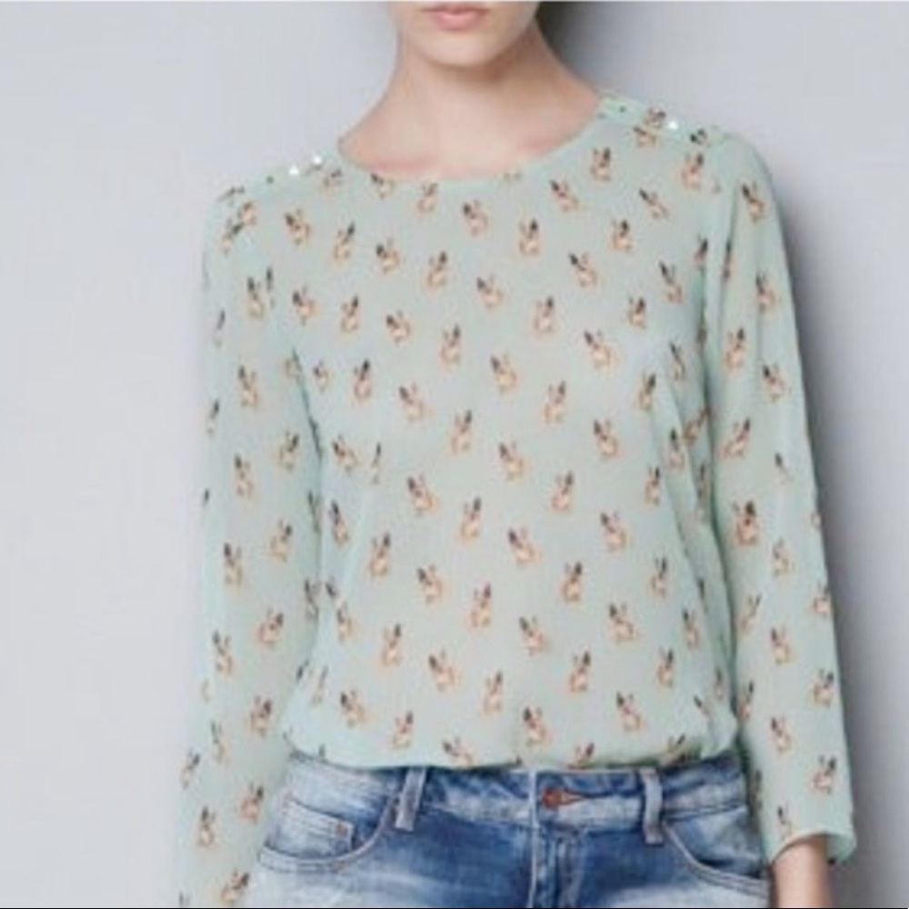 ZARA Trafaluc French Bulldog Long Sleeve Blouse Mint Green Keyhole Back Small
